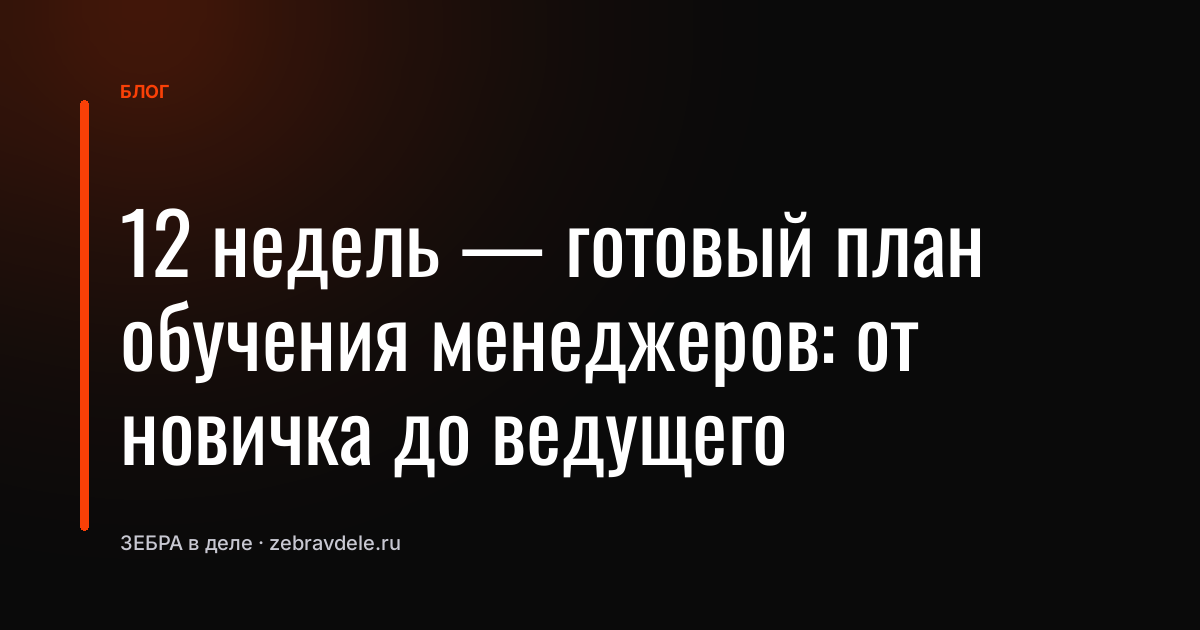 План обучения отдела продаж: с нуля за 12 недель