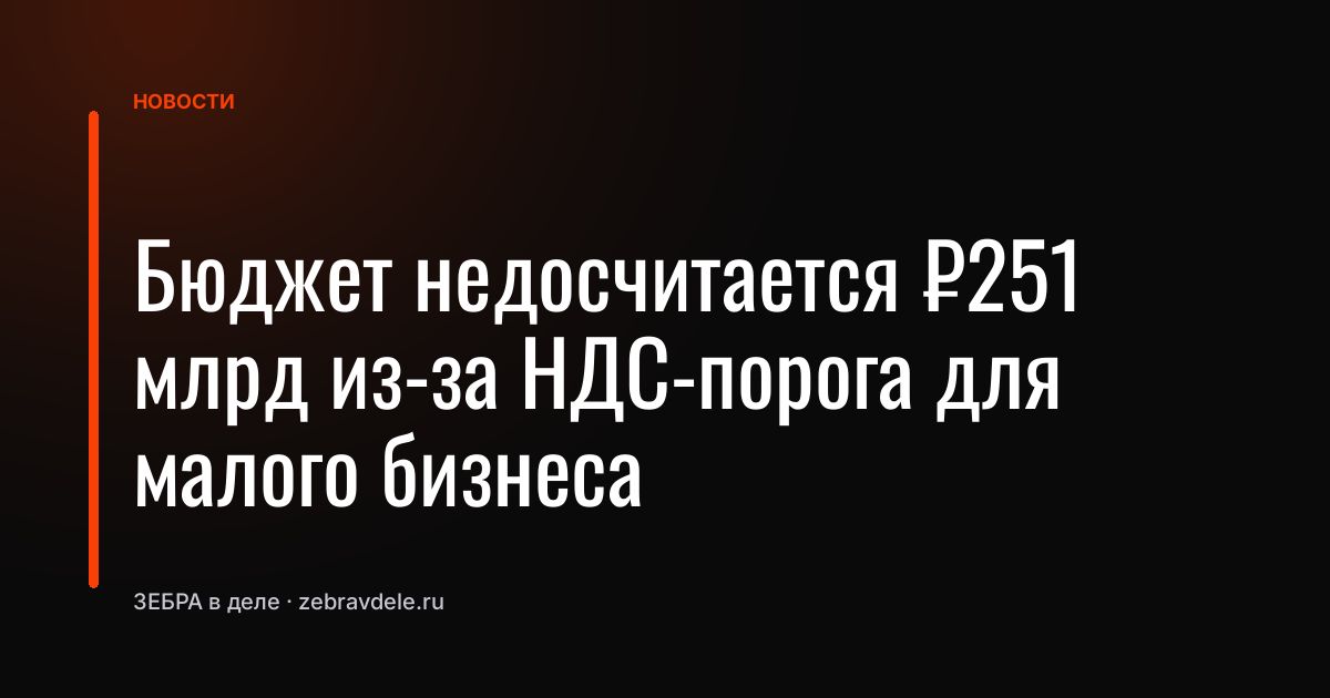 Бюджет недосчитается ₽251 млрд из-за НДС-порога для малого бизнеса