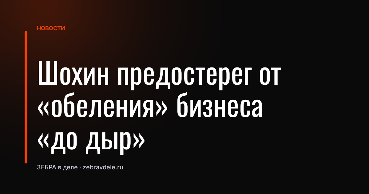 Шохин предостерег от «обеления» бизнеса «до дыр»