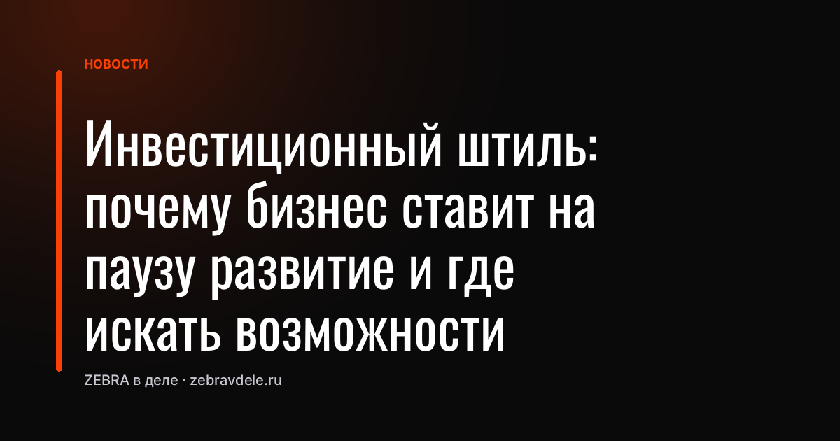 Инвестиционный штиль: почему бизнес ставит на паузу развитие и где искать возможности